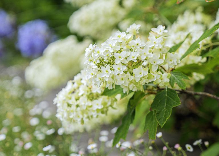 349 Union Road, Balwyn