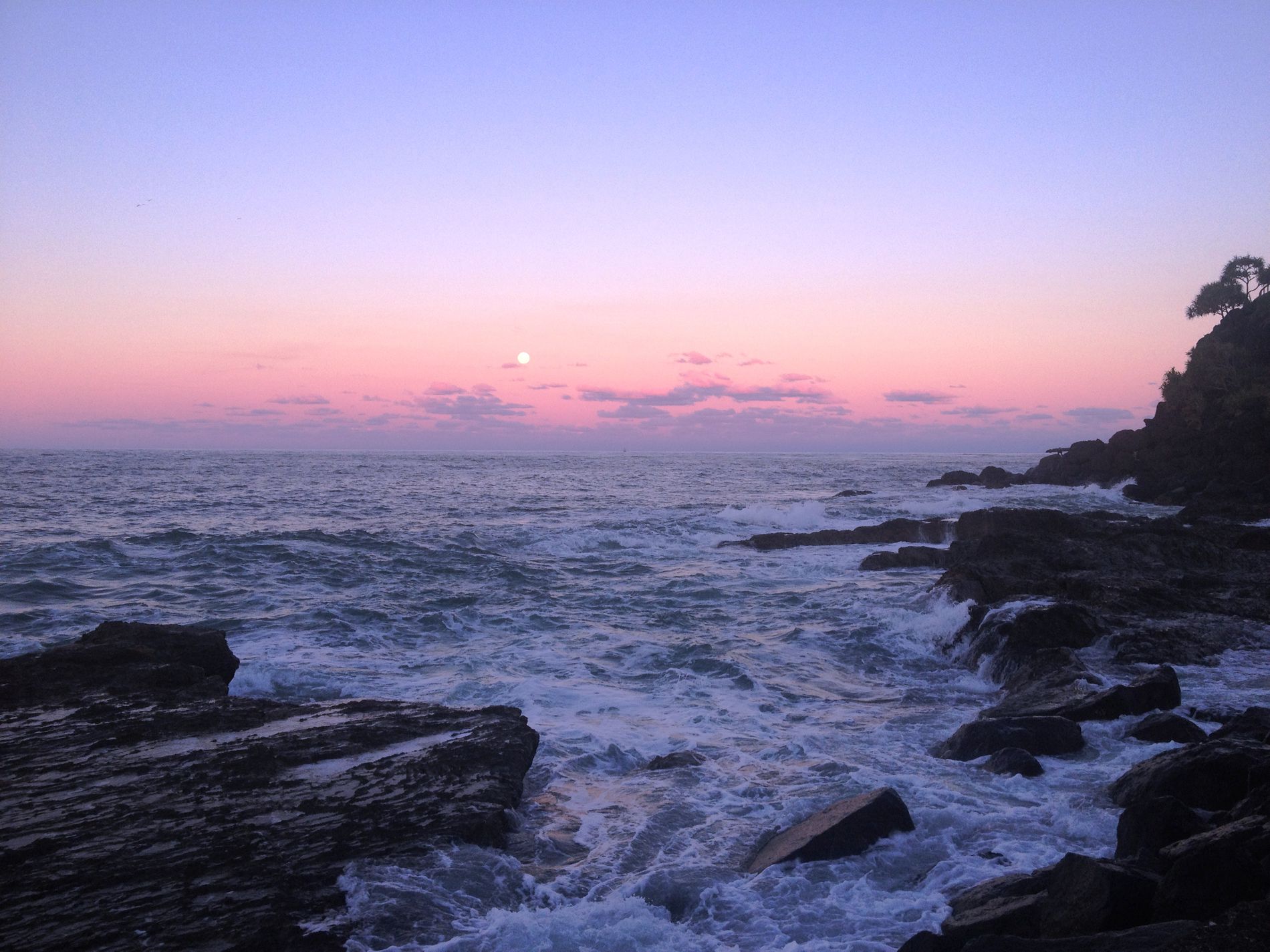 16 Glen Ayr Drive, Banora Point