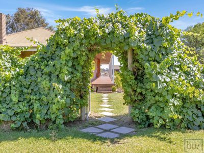 142 Whittaker Lane, Howlong