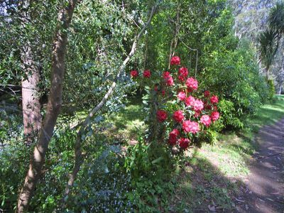 789 Mount Macedon Road, Mount Macedon
