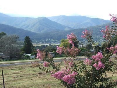 Lot  3 , Fiddleback Drive, Tawonga South