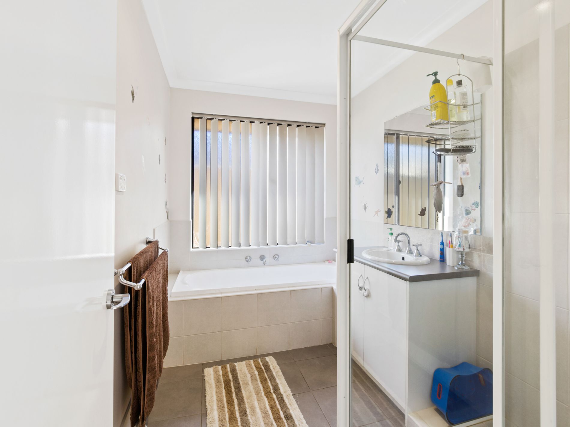 8 Riseberry Way, Somerville