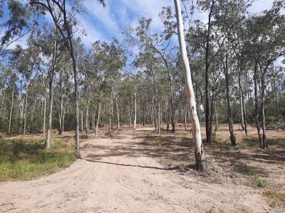 Lot 36 Emu Creek Road, Good Night