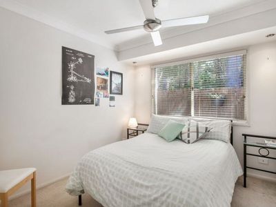 127 Goodchap Street, Noosaville