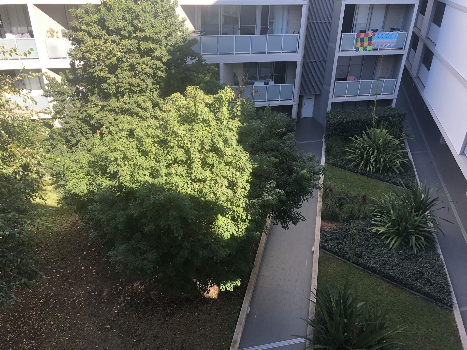 A506 / 359 Illawarra Road, Marrickville