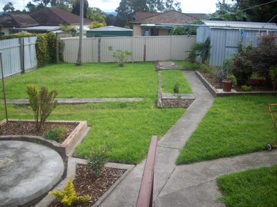 Morisset