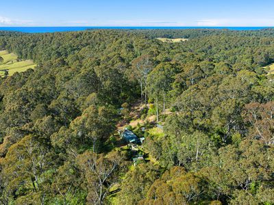 212 Ridge Road, Central Tilba