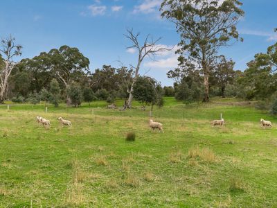 25 Bassett Road, Muckleford South