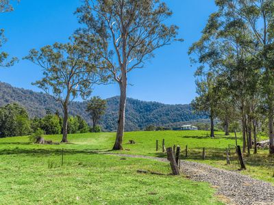 975 Green Pigeon Road, Green Pigeon Via, Kyogle
