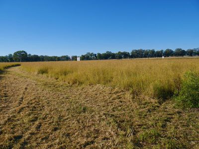 10385 Bunya Highway, Kingaroy