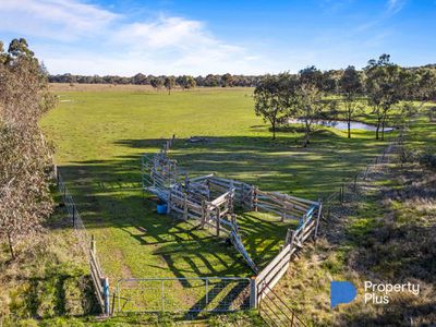 20 Kayes Road, Craigie