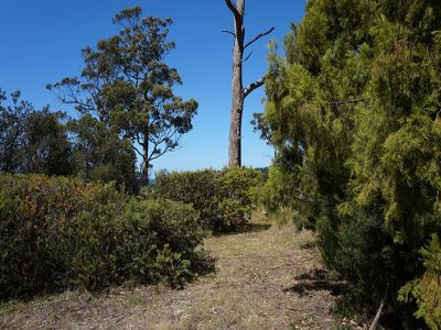 39 Vincent Avenue, Verona Sands