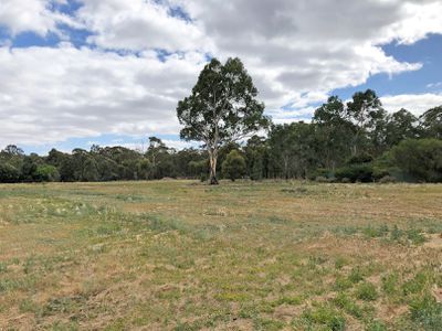 125 Heinz Street, East Bendigo