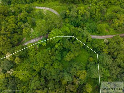 774 Terania Creek Road, Terania Creek