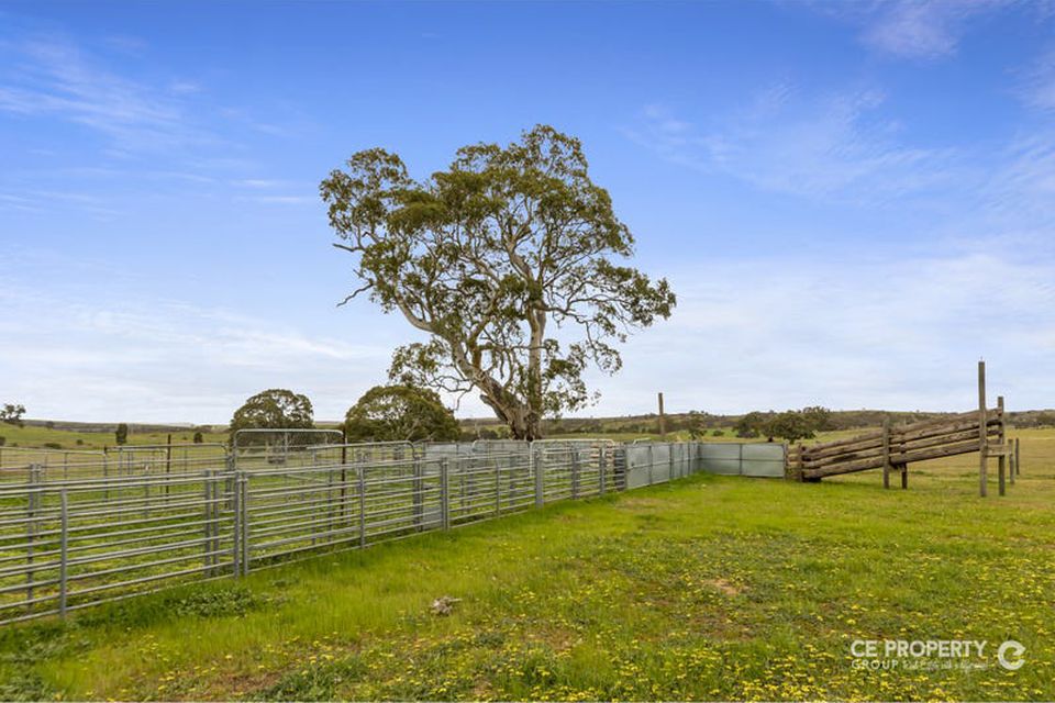 537 Cookes Hill Road, Springton