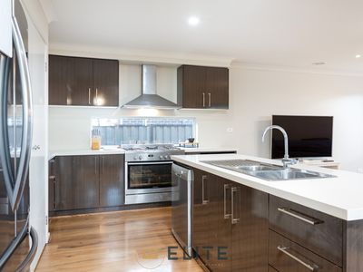 41 Ventasso Street, Clyde North