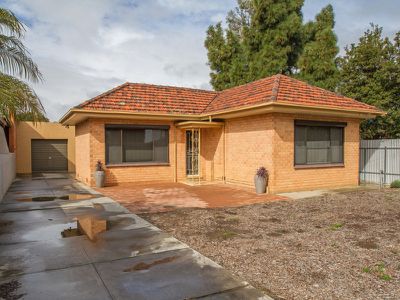 37 Beare Avenue, Netley