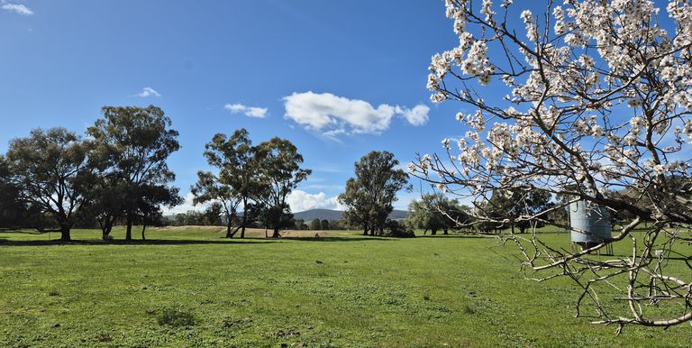 10 Dunnings Road, Balmattum