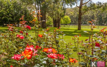 129 Beaconsfield Emerald Road, Beaconsfield Upper