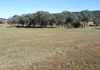 515 Peabody Road, Molong