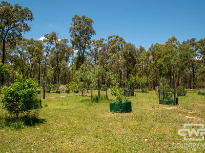 137 Aberdeen Road, Gilgai