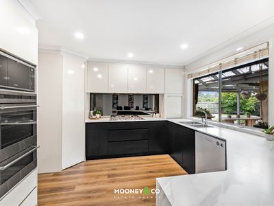 8 Belvoir Court, Cranbourne