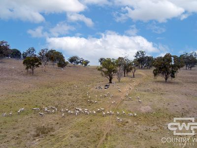 Lot Plain View, 916 Emmaville Road, Glen Innes