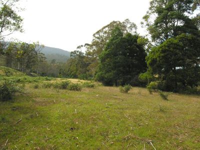 Eld Road, Lonnavale