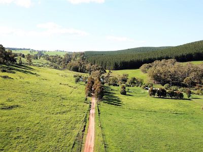 1615 Sunny Corner Road, Meadow Flat