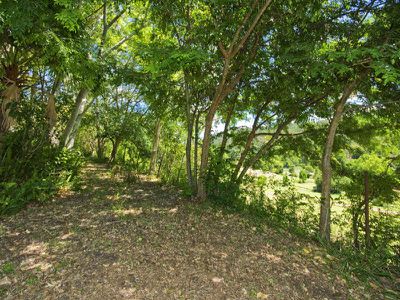 514-528 Flaxton Drive, Montville