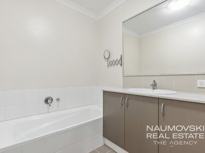 172 Shiraz Boulevard, Pearsall