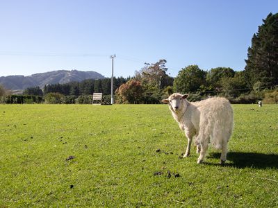 148A Akatarawa Road, Waikanae