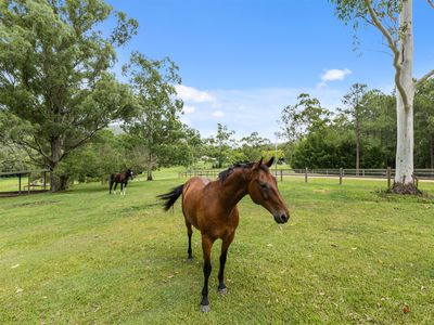 3 Thomas Graham Court, Highvale