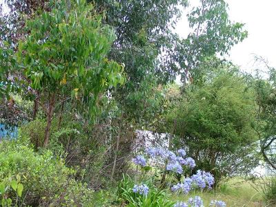 19 Vincent Avenue, Verona Sands