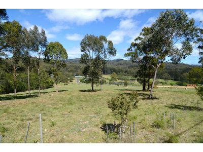 965 Back Creek Road, Nethercote