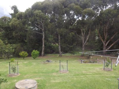 23 Silent Grove Road, Torrington