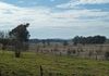 915 Forest Road, Orange