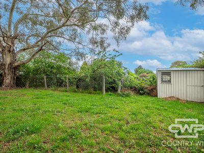 53 Grey Street, Glen Innes