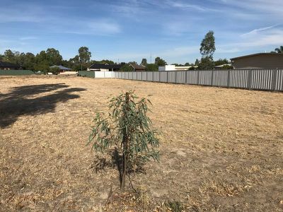 5 Molin Court, Koondrook
