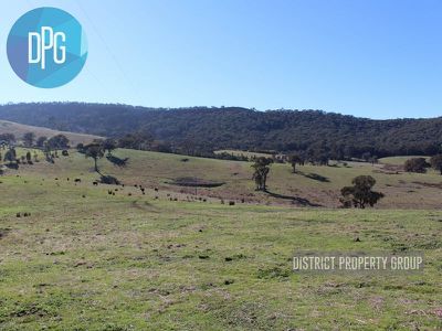 487 Old Tonga Road, Mansfield