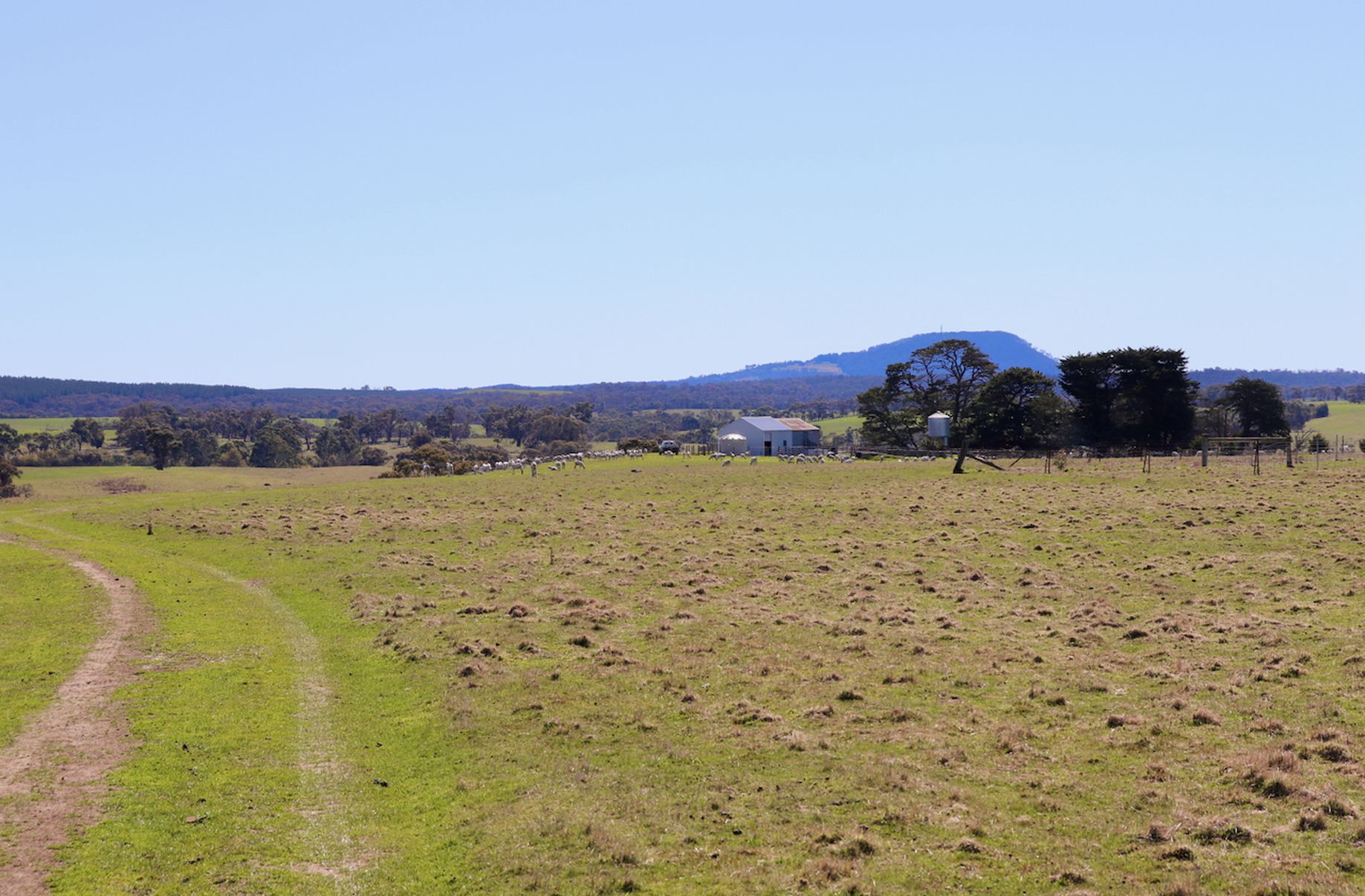 Lot 13, 13A, 13B, 31A &, 31C BRIDGE ROAD, Grenville