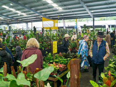 Nambour