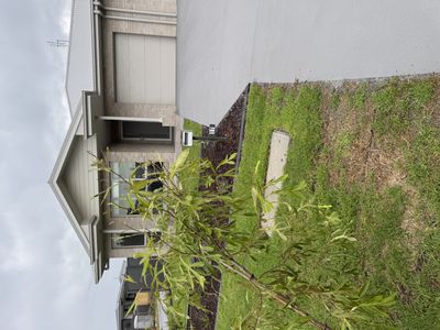 17 Ryan Road, Gillieston Heights