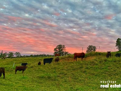 1024 Pappinbarra Road, Pappinbarra