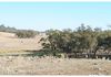 136 McLachlan Road, Manildra