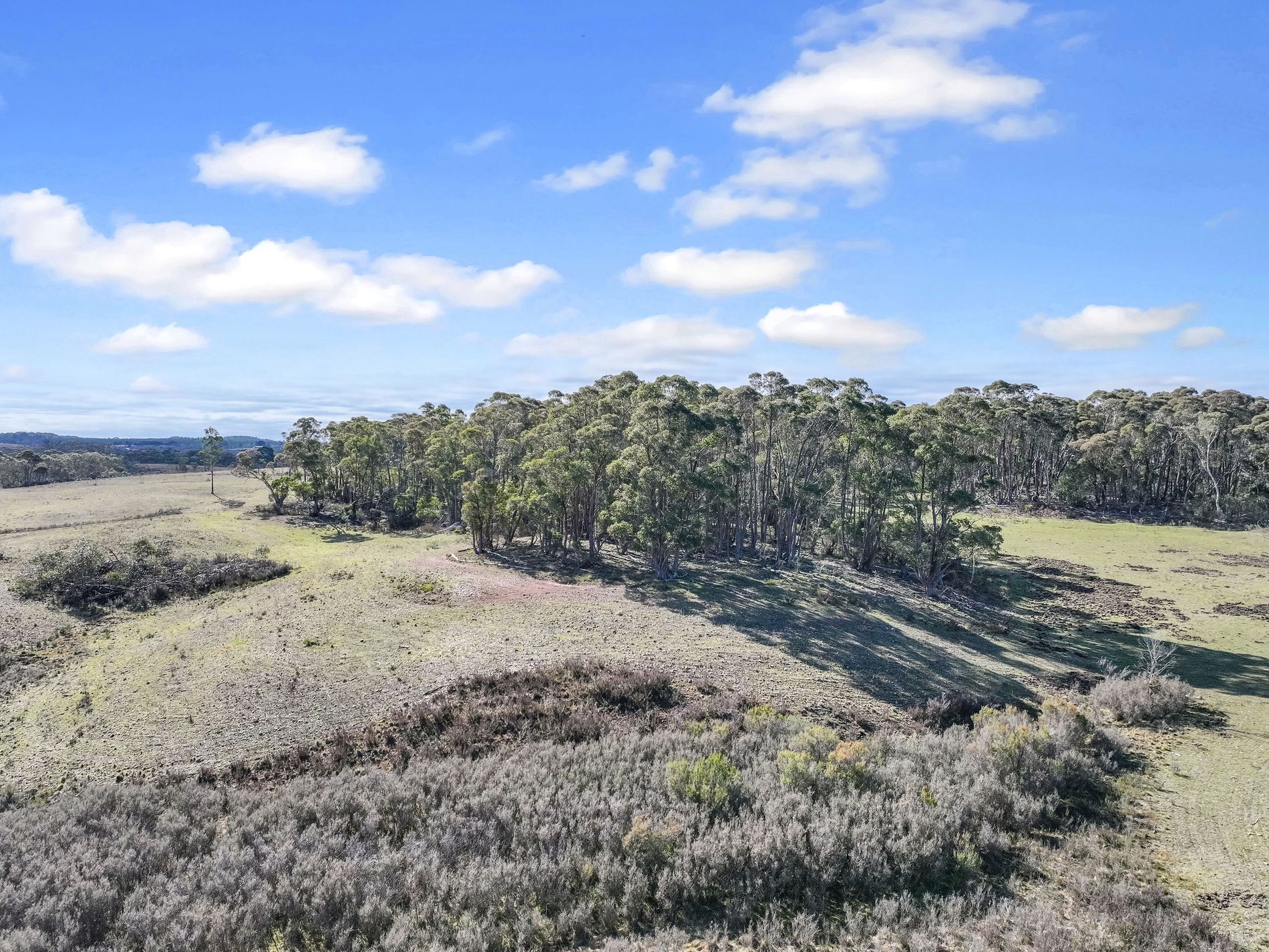 Lot 193 / 443 Back Creek Road, Mongarlowe