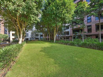 Pyrmont