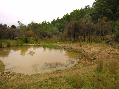 Lot 1 Fourfoot Road, Geeveston