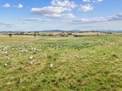 4436 Jerangle Road, Captains Flat