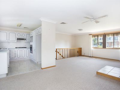20 Torquay Drive, Lake Tabourie
